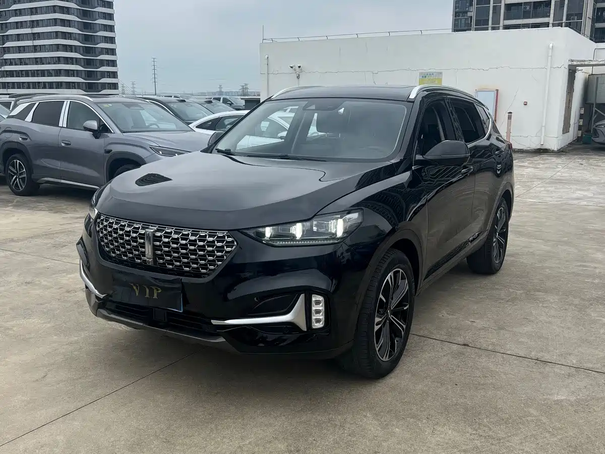2021 WEY VV6