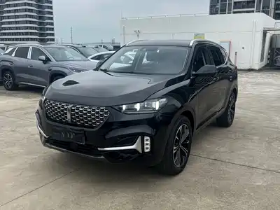 Wey VV6