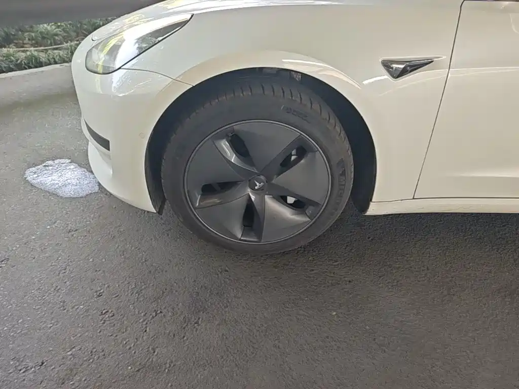 Tesla Model 3 (Import) 2019 2019 Standard Range RWD Upgraded Edition