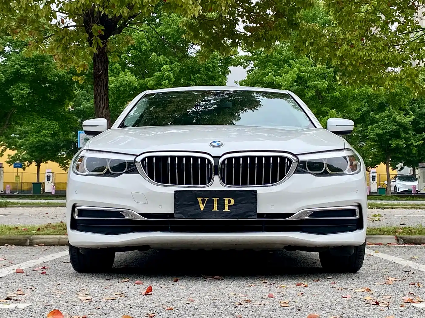 BMW 5 Series 2019 Facelift 525Li Luxury Package фото 2