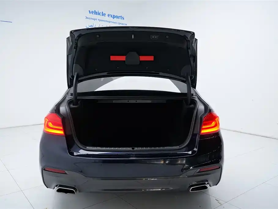 BMW 5 Series 2019 530Li Leading M Sport Package фото 14