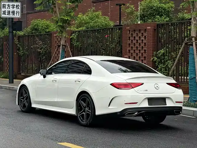 Mercedes-Benz CLS 2022 CLS 300 Dynamic — фото 4