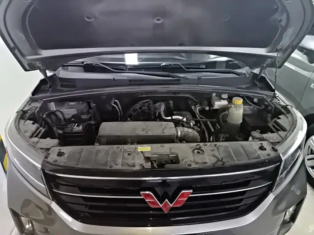 Wuling Motors Wuling Hongguang PLUS 2019 2019 1.5T Manual Luxury 7-seater