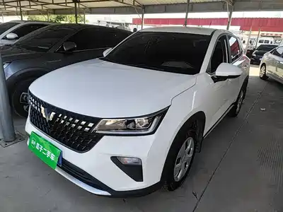 Wuling Alvez