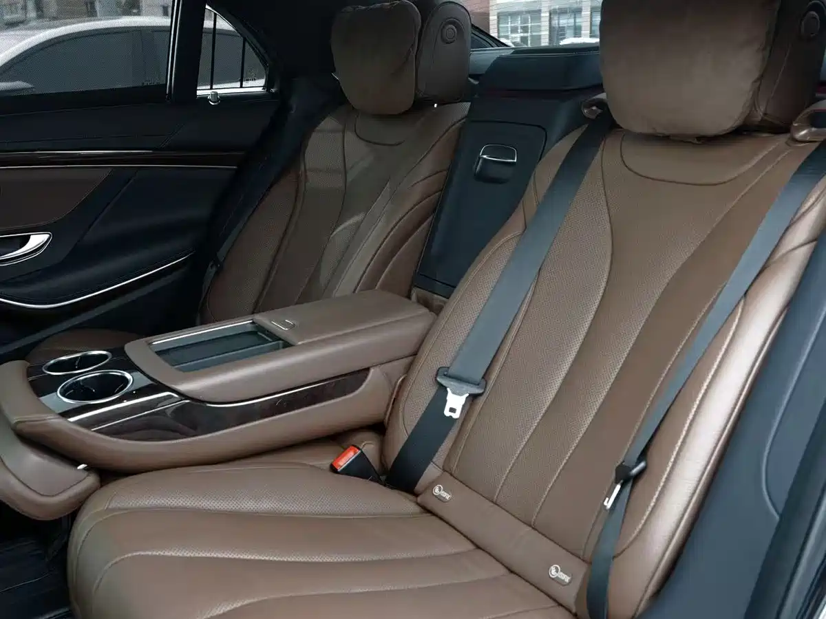 Mercedes-Benz S-Class 2020 S 350 L Premium Edition Collector's Version фото 8