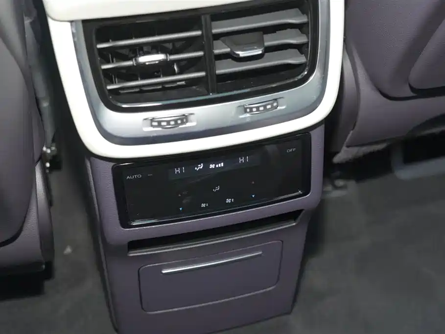 Hongqi E-HS9 2021 460km Flagship Comfort 6-seater фото 12