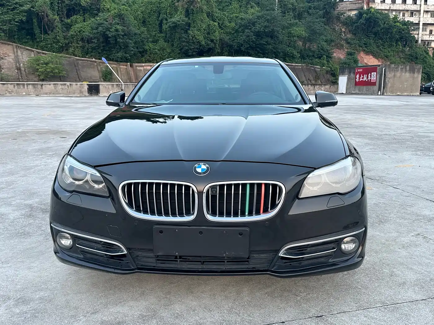 BMW 5 Series 2014 525Li Luxury Design Package фото 2