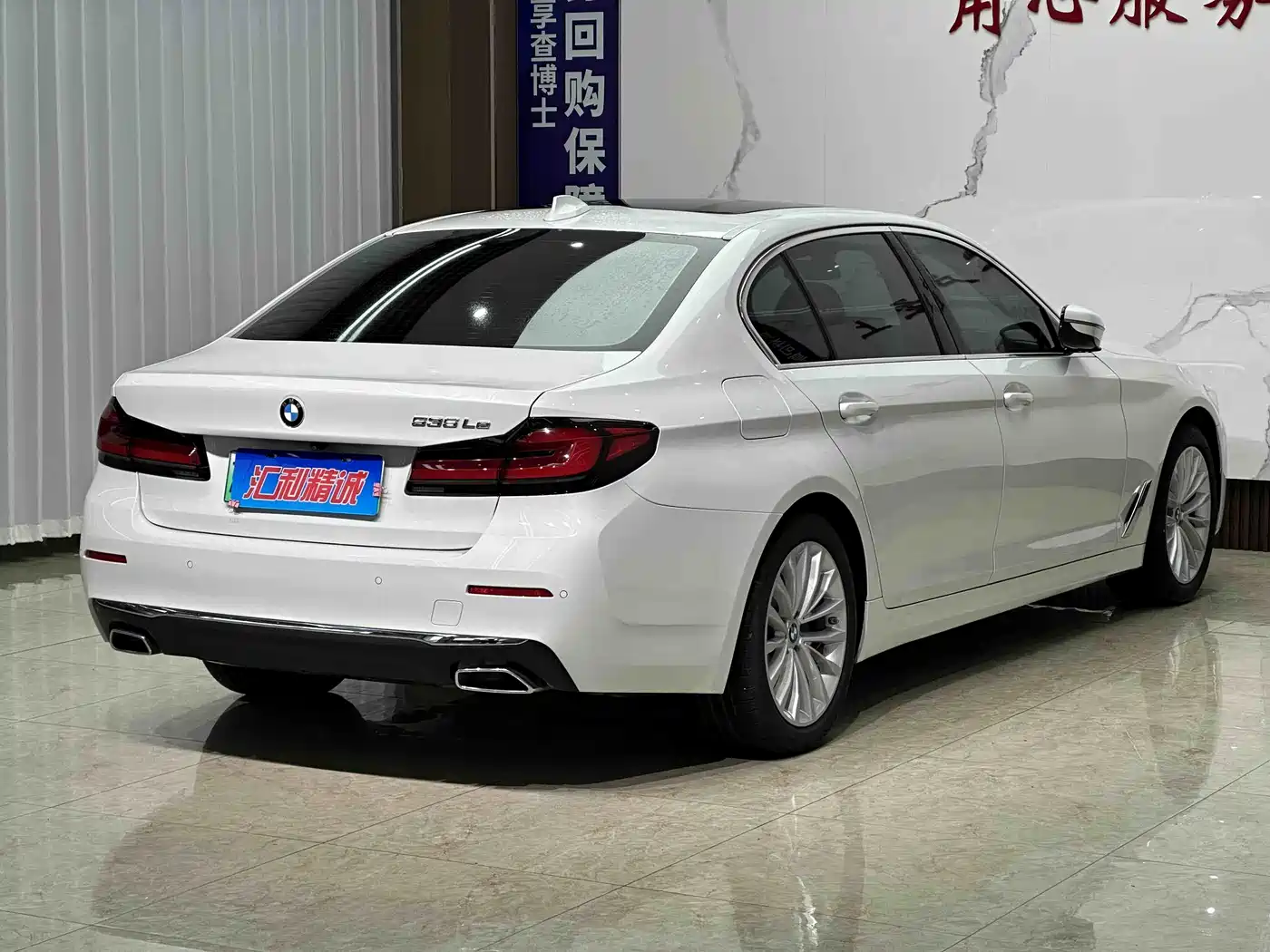 BMW 5 SERIES NEW ENERGY