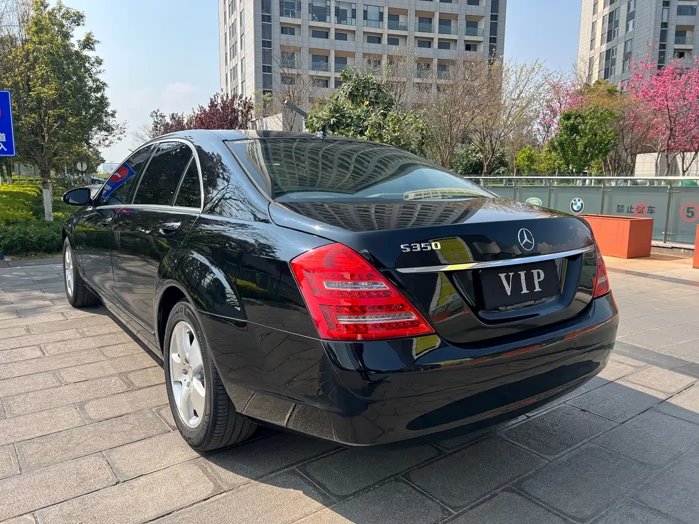 Mercedes-Benz S-Class 2010 S 350 L Luxury фото 13