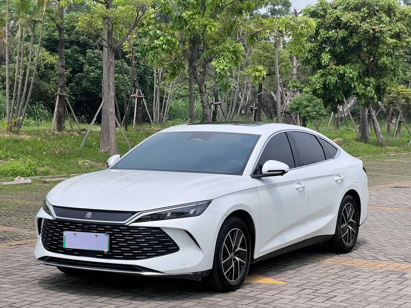 BYD Qin L 2024 DM-i 120KM Superior Edition