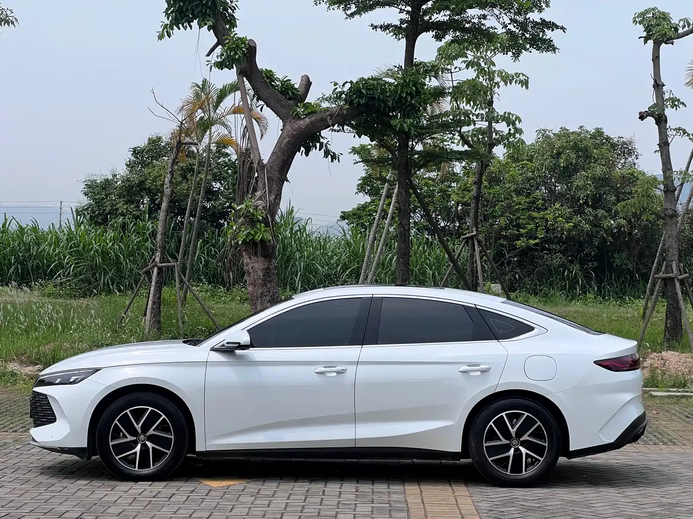 BYD Qin L 2024 DM-i 120KM Superior Edition фото 4