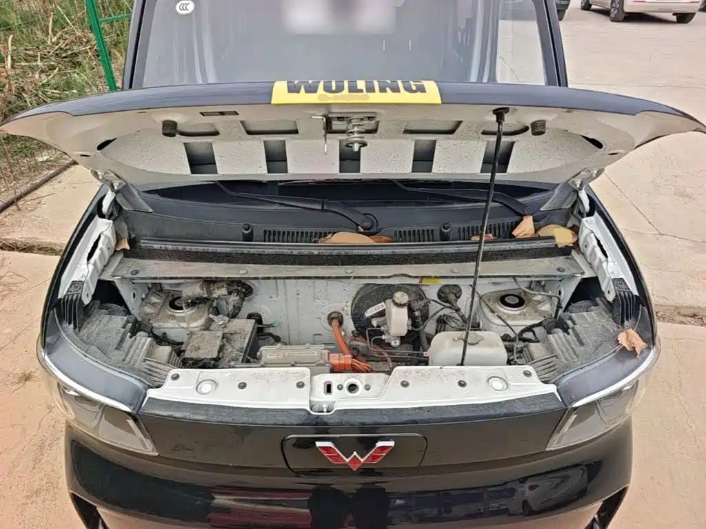 Wuling Motors Wuling Zhiguang NEV 2025 2025 Model Comfort