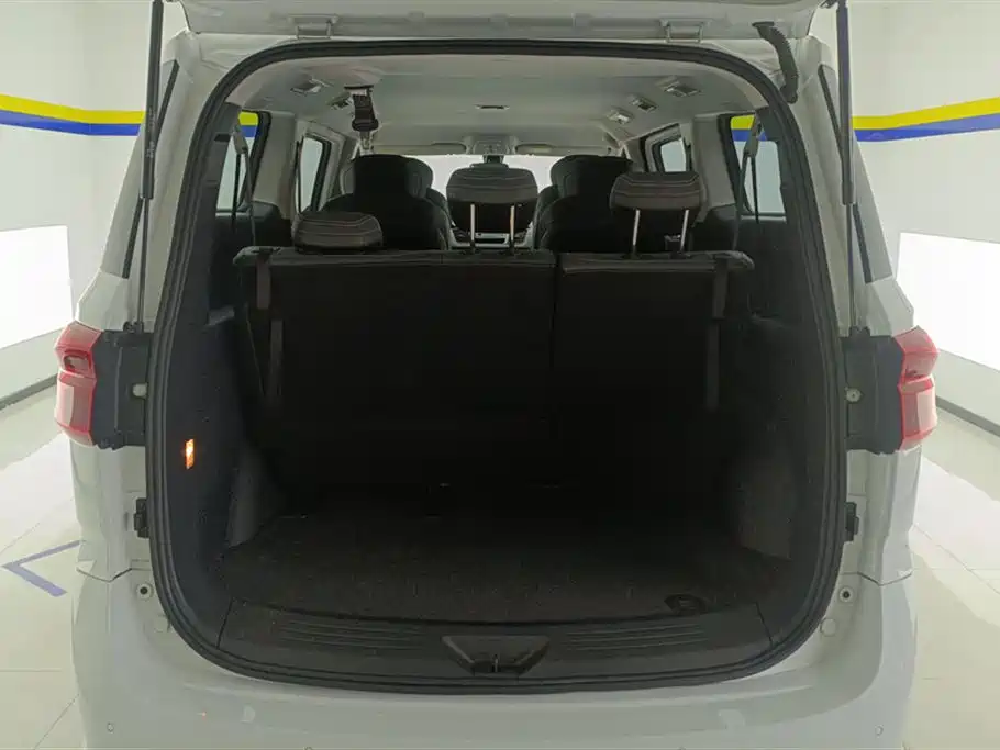 SAIC MAXUS CHASE G20