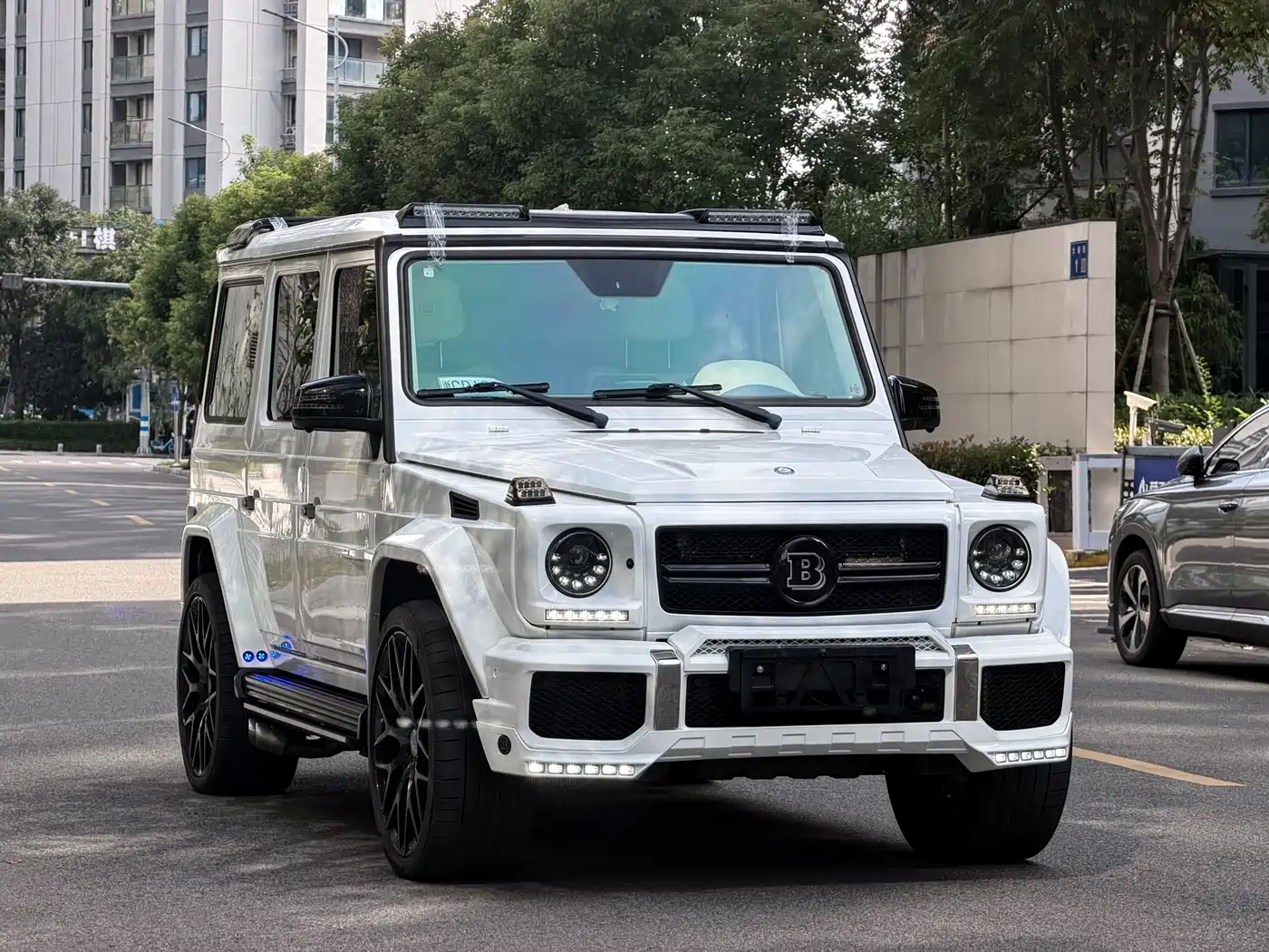 Mercedes-Benz G-Class 2016 G 500 фото 3
