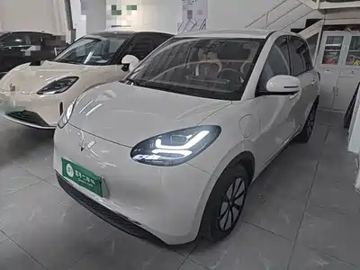 Wuling Bingo