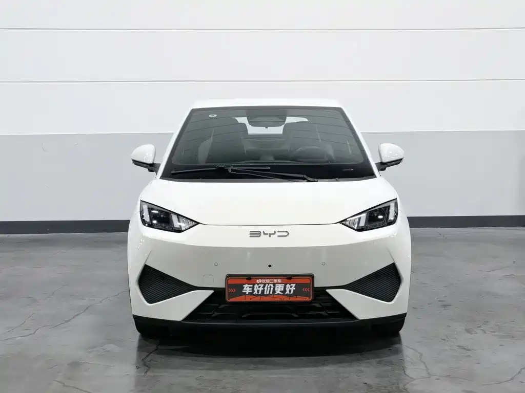 صورة 3 - BYD Seagull