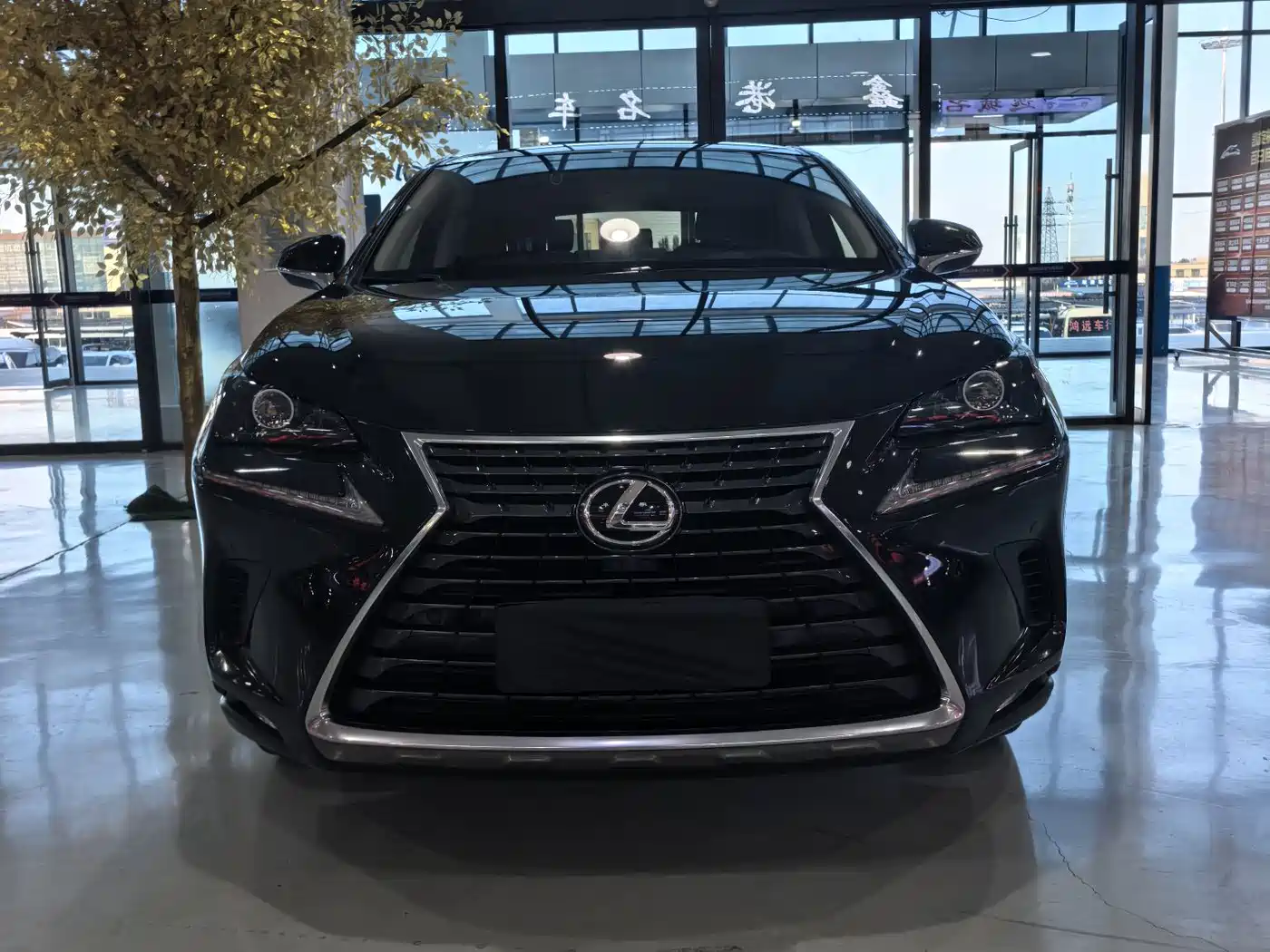 Фото 2 - Lexus NX