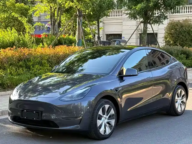 Tesla Model Y 2021 Long Range All-Wheel Drive 3D7