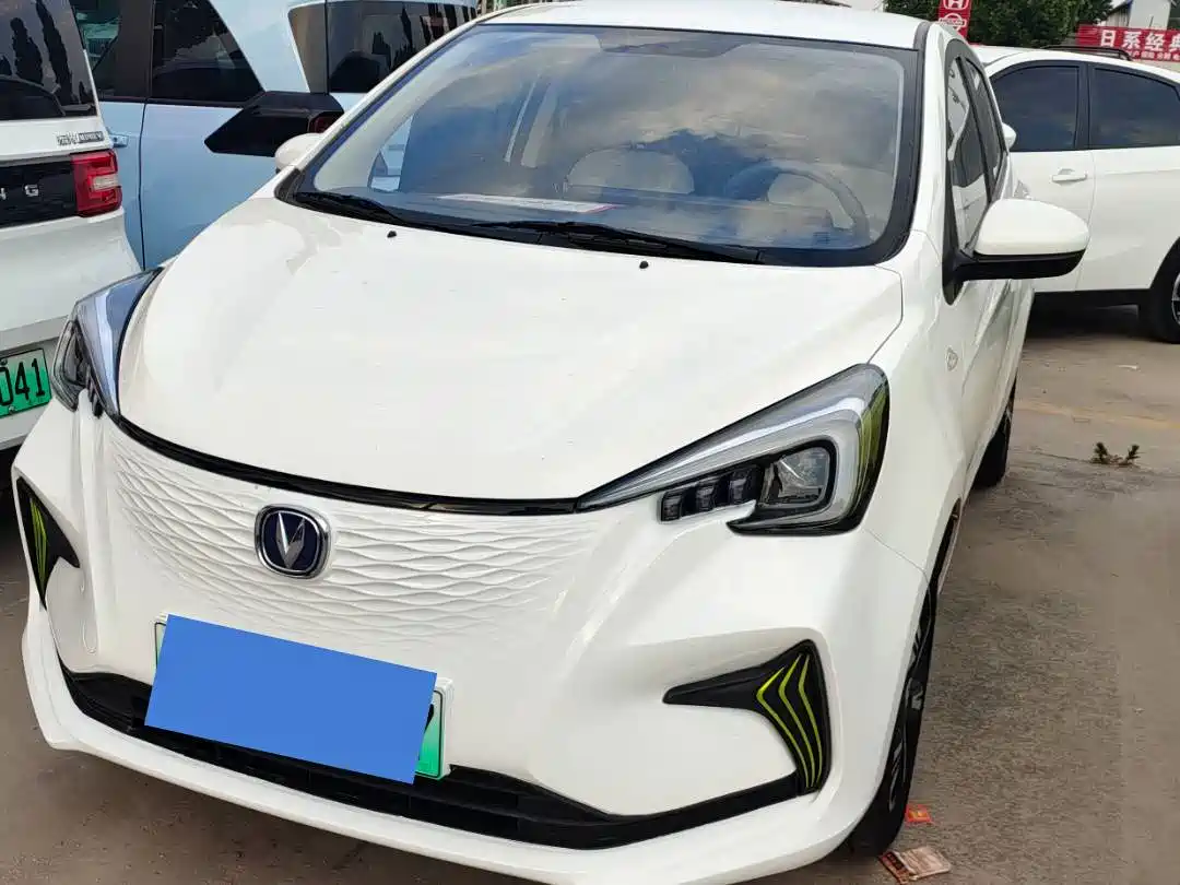 Changan Benben E-Star 2023 Appreciation Edition Colorful Version (LFP)