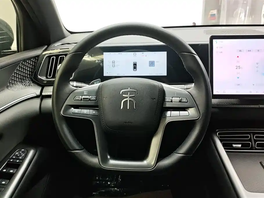 BYD SONGJIANG NEW ENERGY