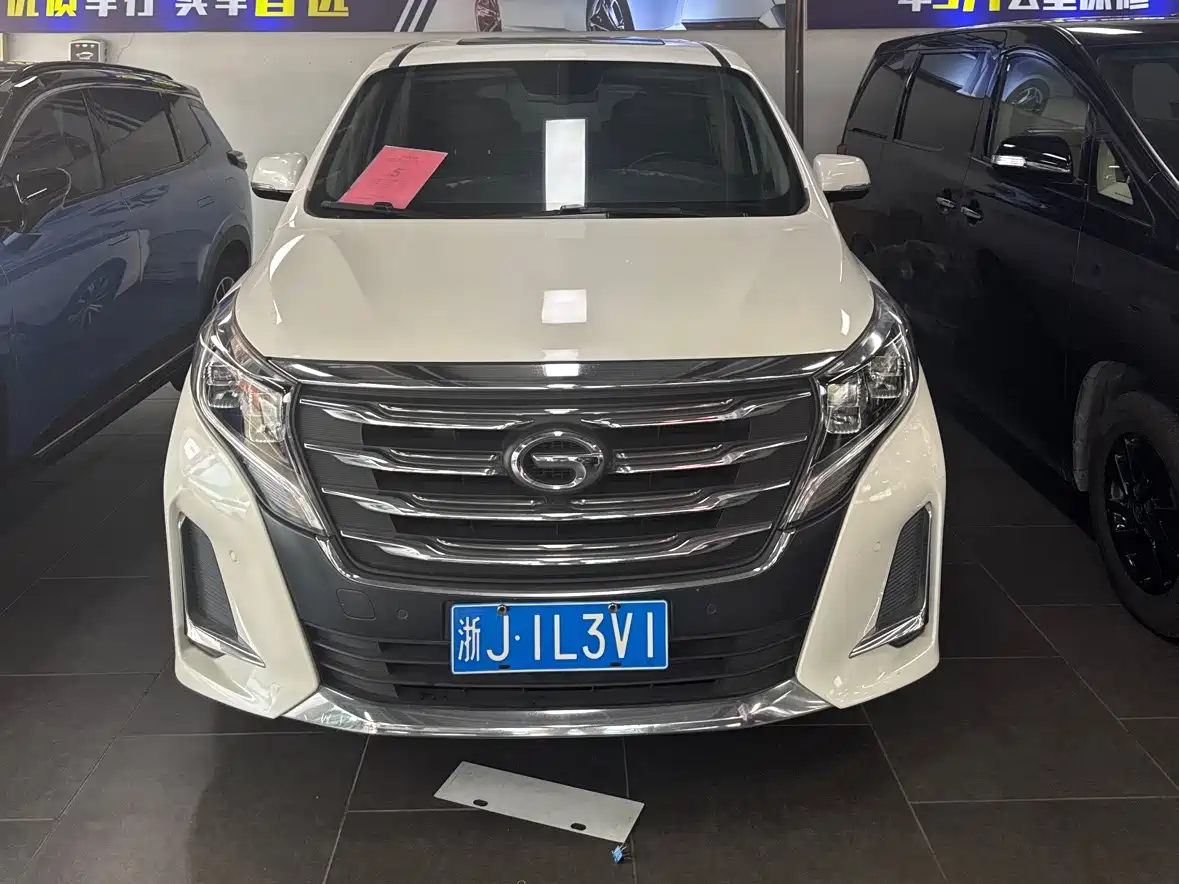 GAC Trumpchi Trumpchi M8 2020 Pilot 390T Prestige Edition фото 14