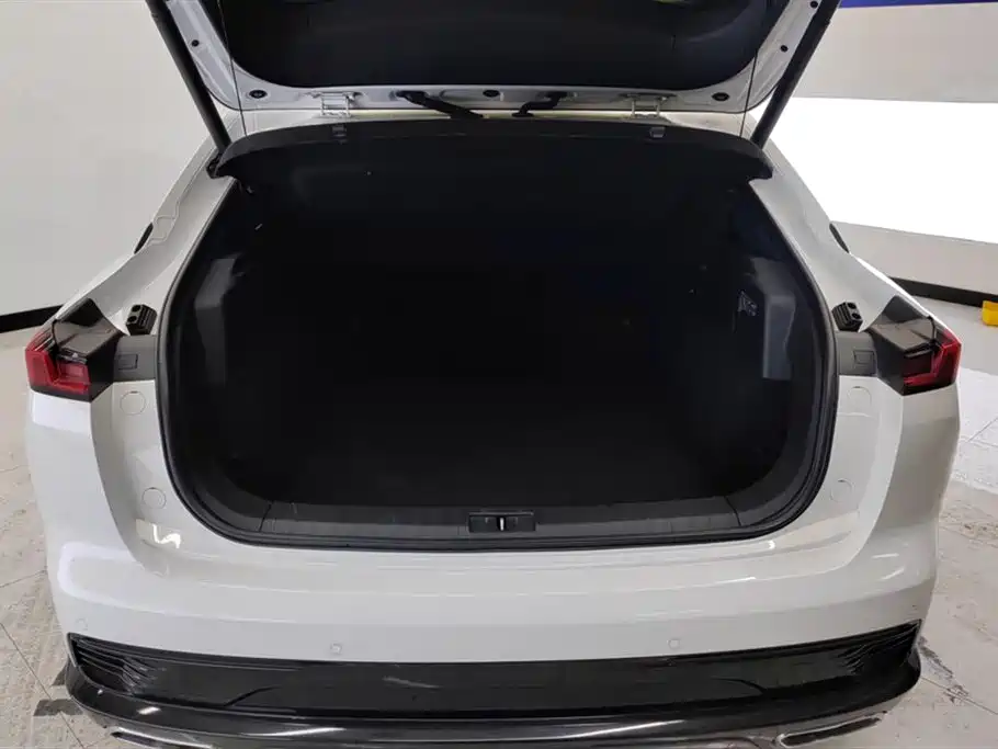 BESTUNE PENTIUM B70S