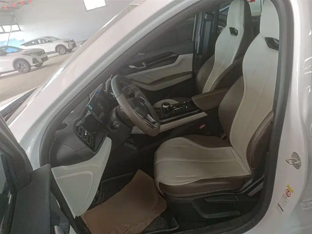BYD Qin PLUS 2023 Champion Edition DM-i 55KM Leading фото 15