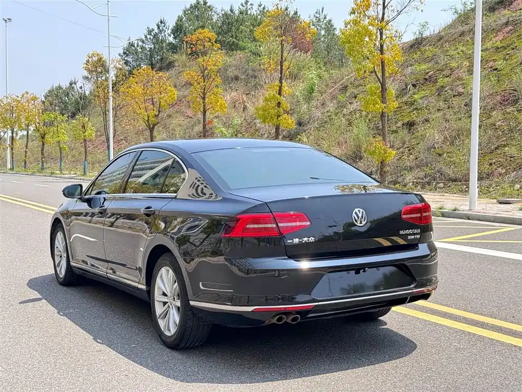 Volkswagen Magotan 2018 330TSI DSG Leading фото 12