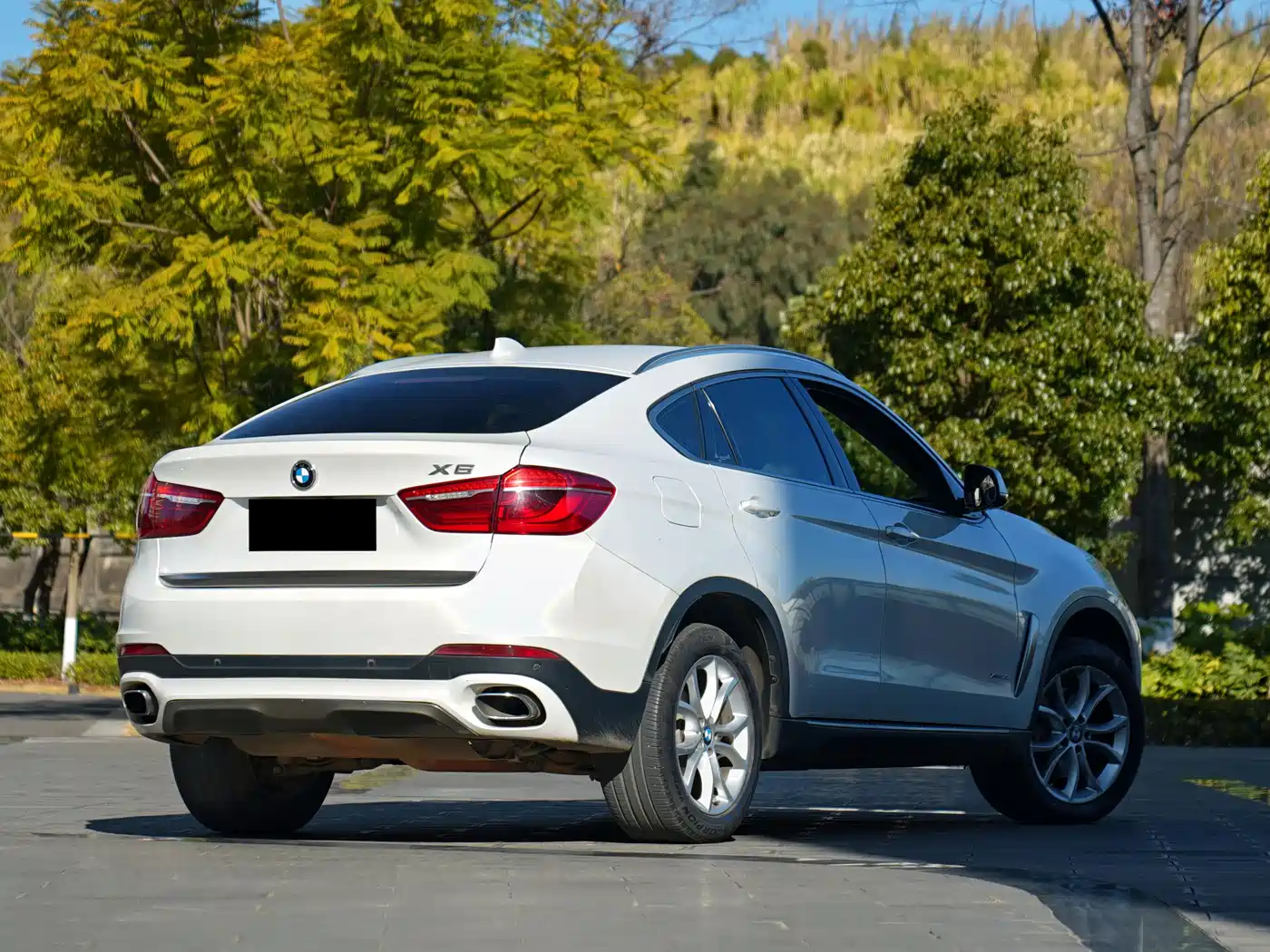 BMW X6 2015 xDrive35i Luxury Model фото 2