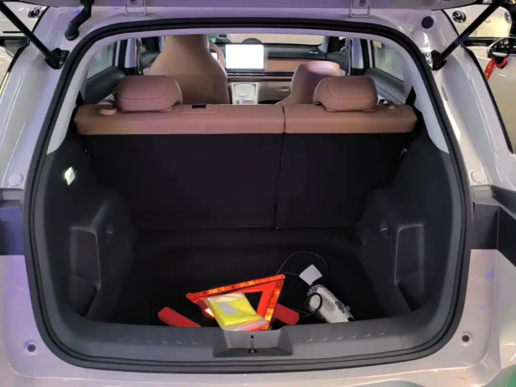 Wuling Motors Wuling Bingo S 2026 2025 Model 325km Premium Edition