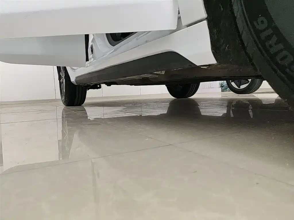 BYD Destroyer 05 2024 Glory Edition DM-i 55KM Luxury фото 21