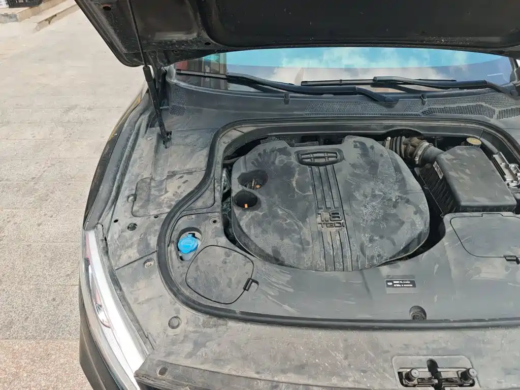 Фото 20 - Geely Borui