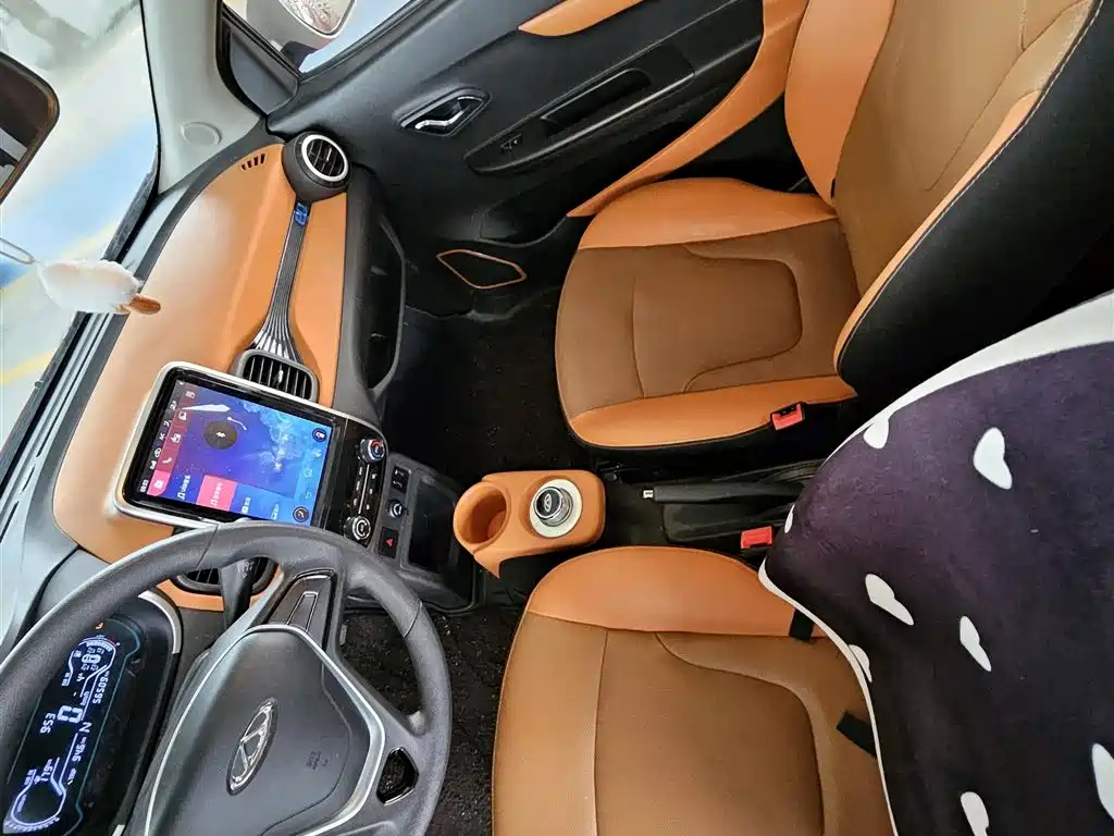 QQ New Energy Little Ant 2019 2018 400 4-Seater Premium Smart Edition