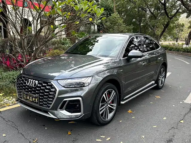 Audi Q5L Sportback 2021 45 TFSI Luxury