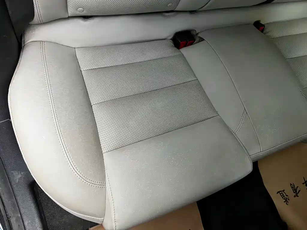 Photo 20 - Geely Binrui