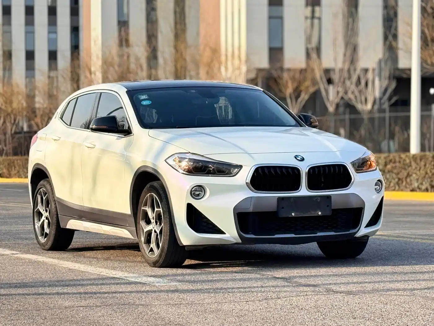 BMW X2 (Import) 2019 sDrive20i M Off-Road Package China VI фото 3
