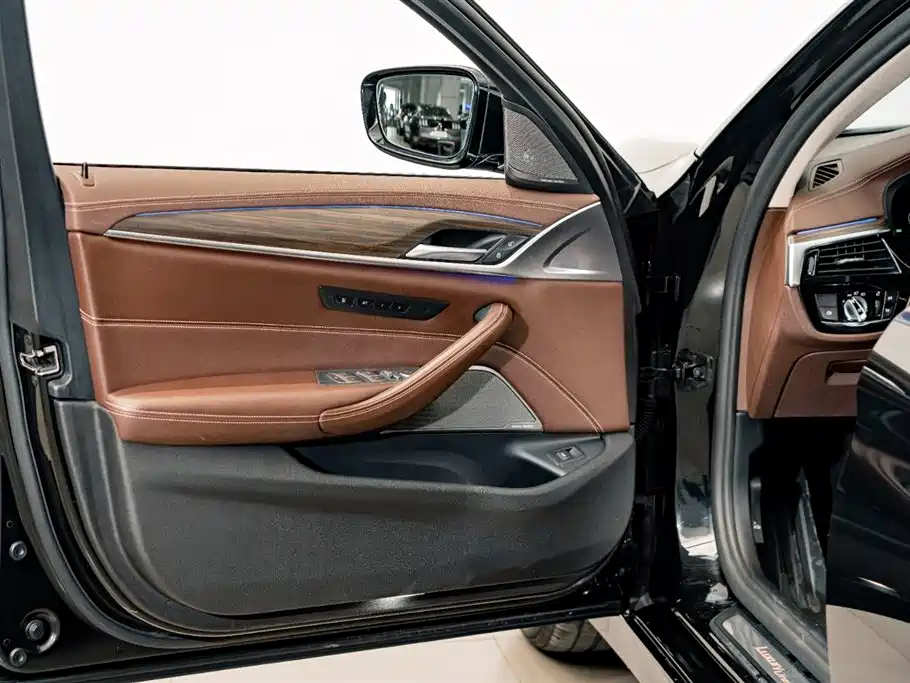 BMW 5 Series 2020 530Li Premium Luxury Package фото 19