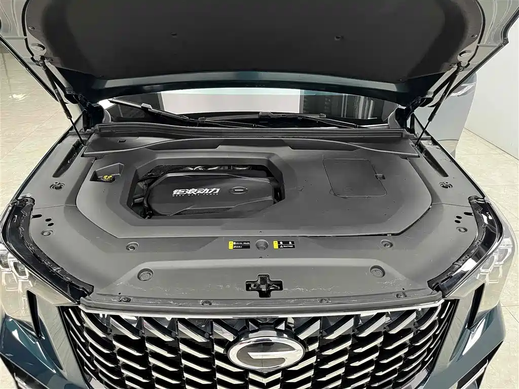 GAC Trumpchi Trumpchi GS8 2022 Pilot Series 2.0TGDI 2WD Premium Edition (6-Seater) фото 23