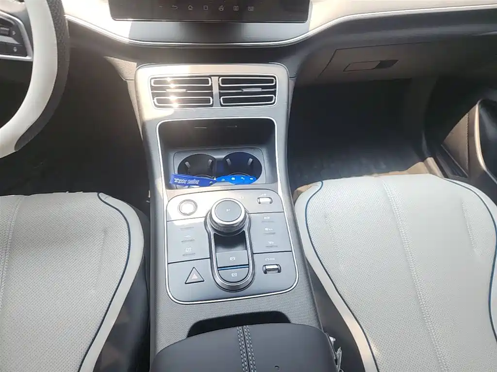 BYD Destroyer 05 2024 Glory Edition DM-i 55KM Luxury фото 14