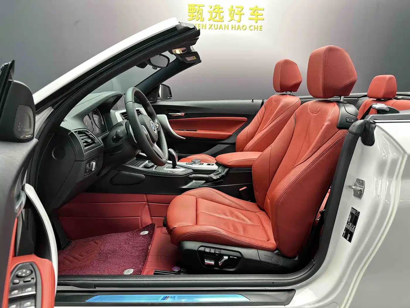 BMW 2 Series (Import) 2019 225i Convertible Coupe Exclusive M Sport Package фото 6
