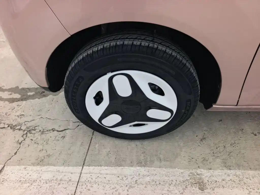 Geely Galaxy Panda 2026 2025 Panda mini 210km Vitality Bear