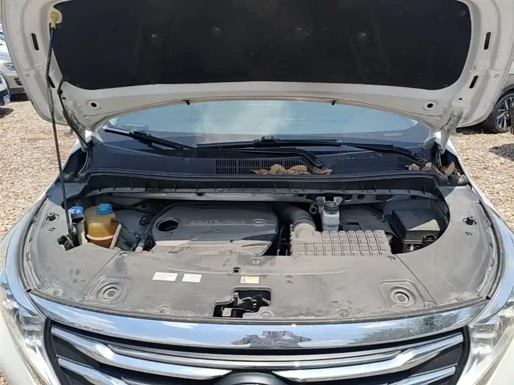GAC Trumpchi Trumpchi M8 2018 320T Exclusive Edition фото 20