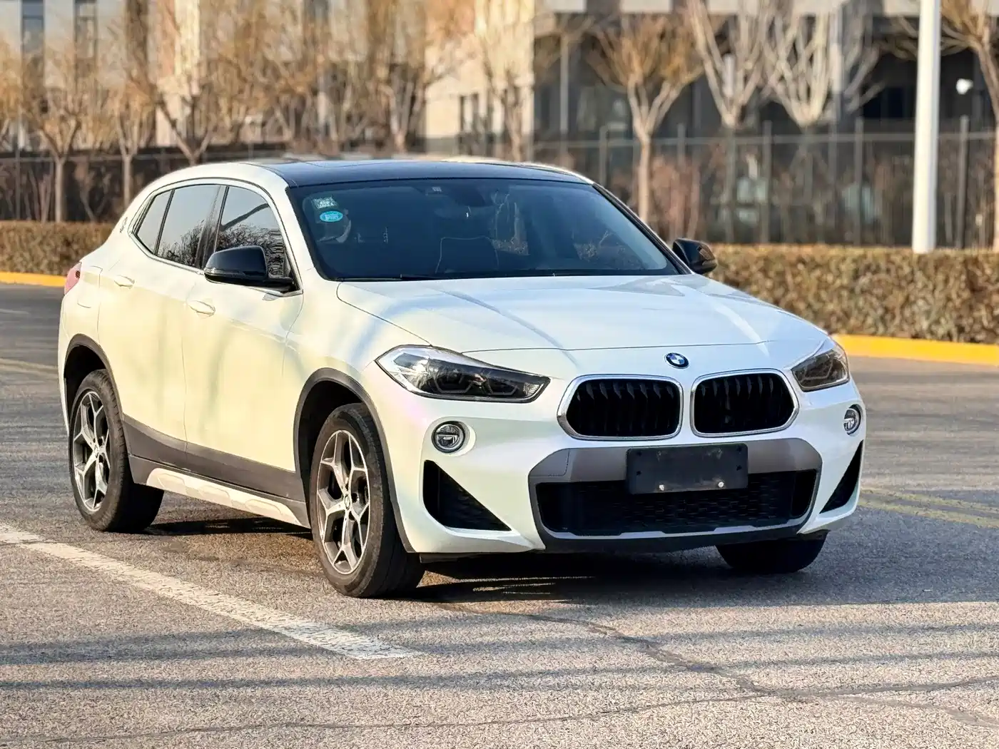 BMW X2 (Import) 2019 sDrive20i M Off-Road Package China VI фото 5