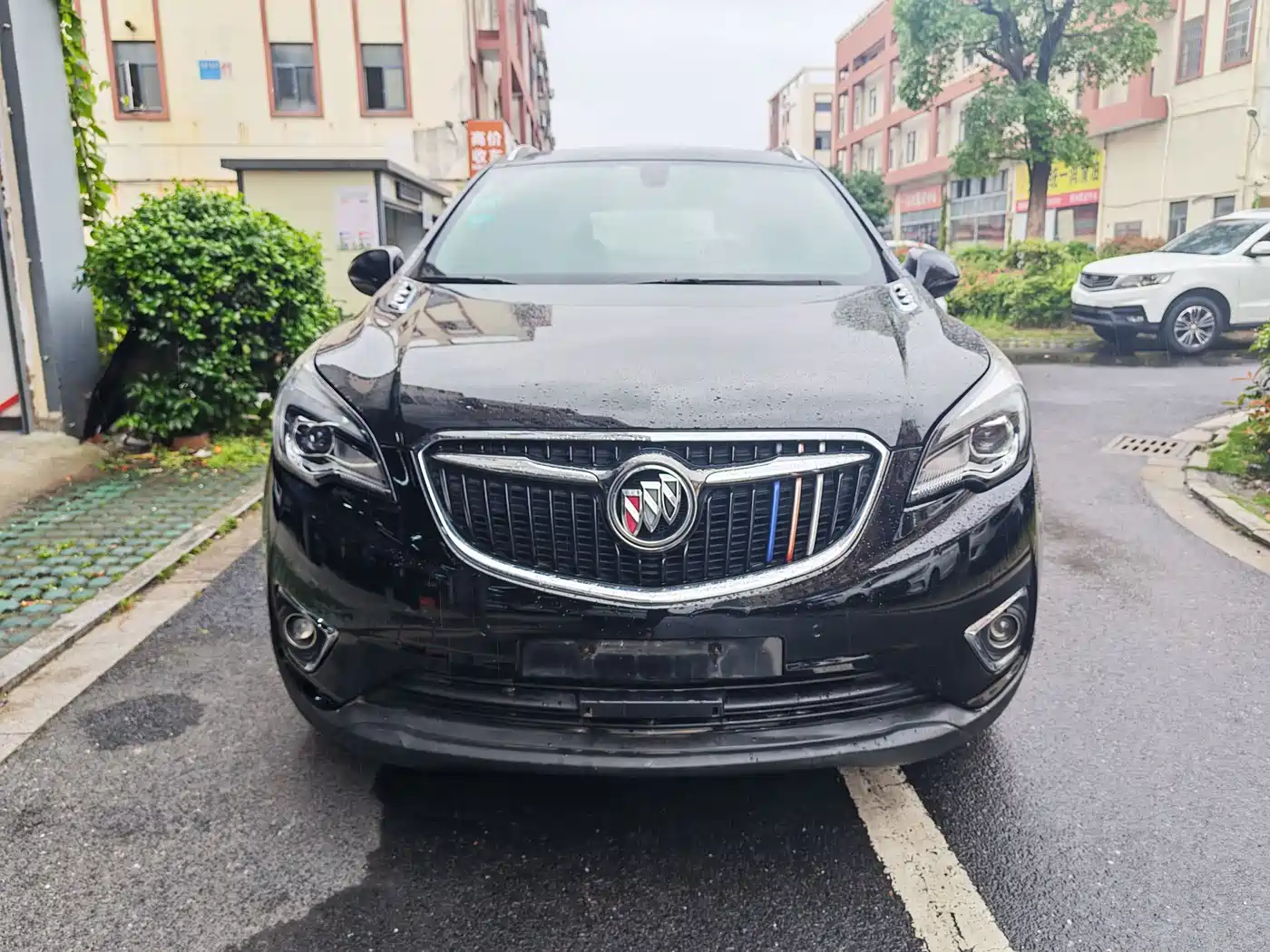 Buick Envision Plus 2018 20T 2WD Luxury фото 2