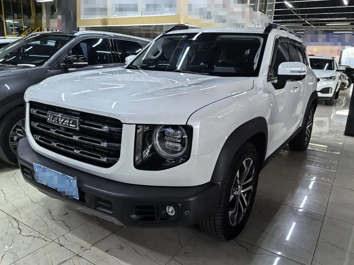 Haval Dargo 2021 2021 1.5T DCT 2WD Border Collie Edition