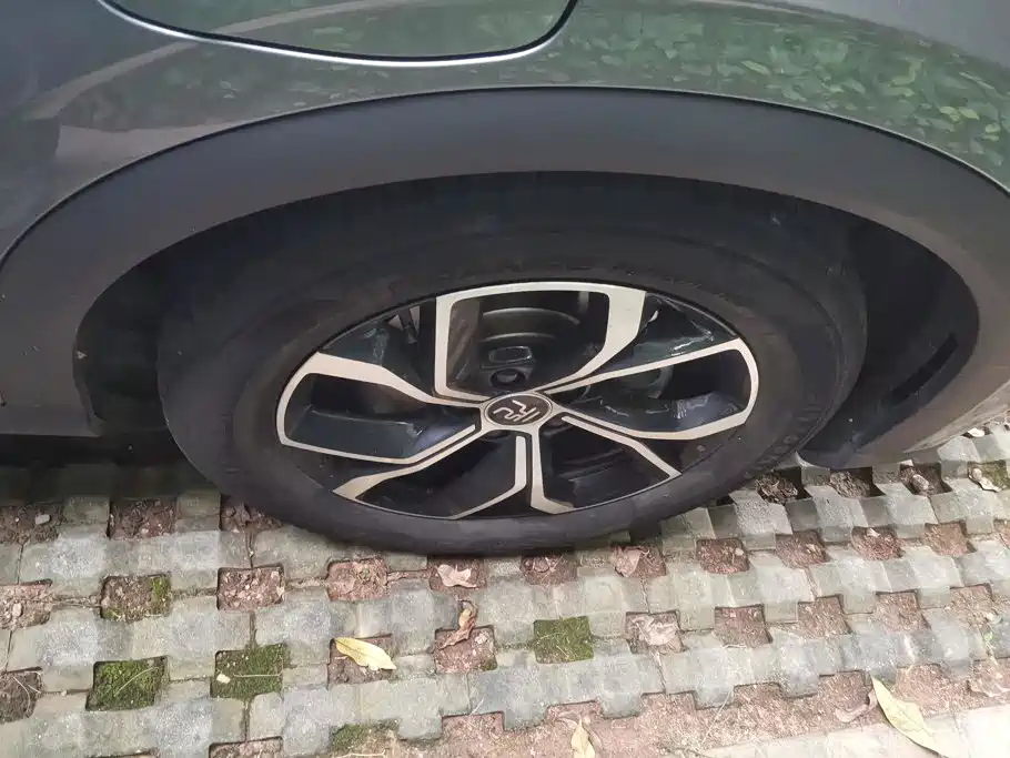 BYD Yuan PLUS 2025 2024 Glory Edition 430KM Advanced