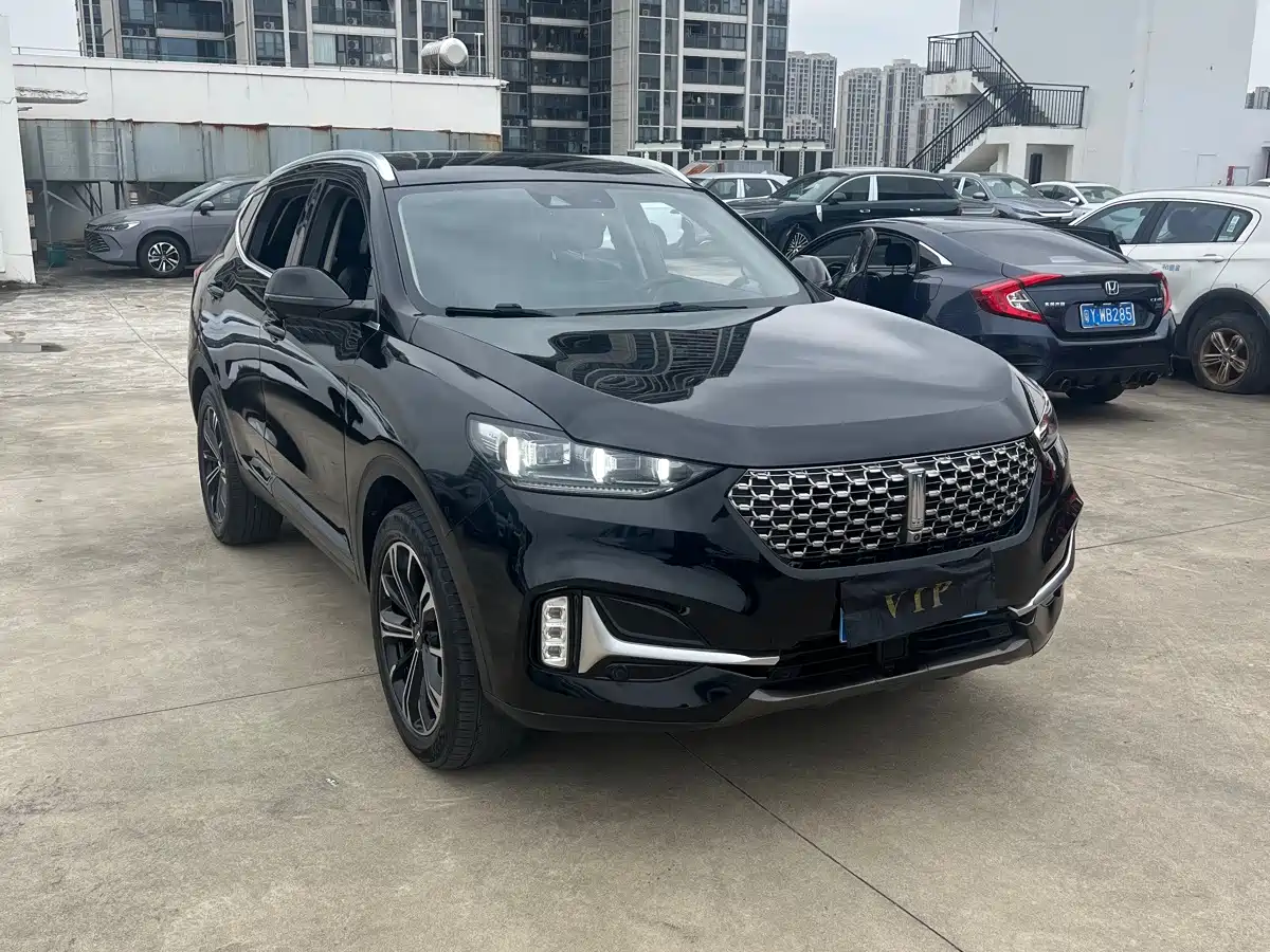 2021 WEY VV6
