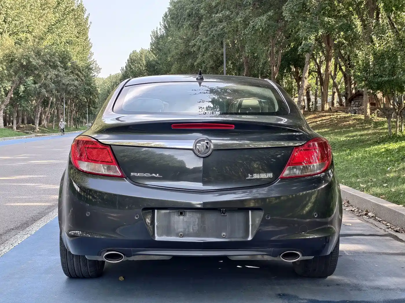 Buick Regal 2009 2009 Model 2.4L Elite Edition
