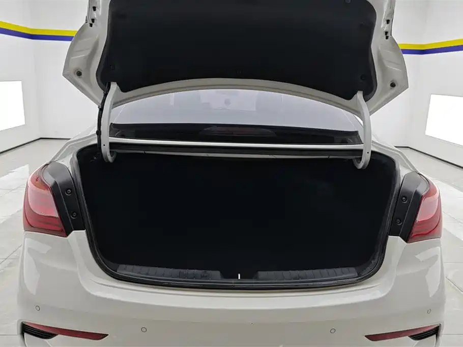 HYUNDAI NAME PICTURE