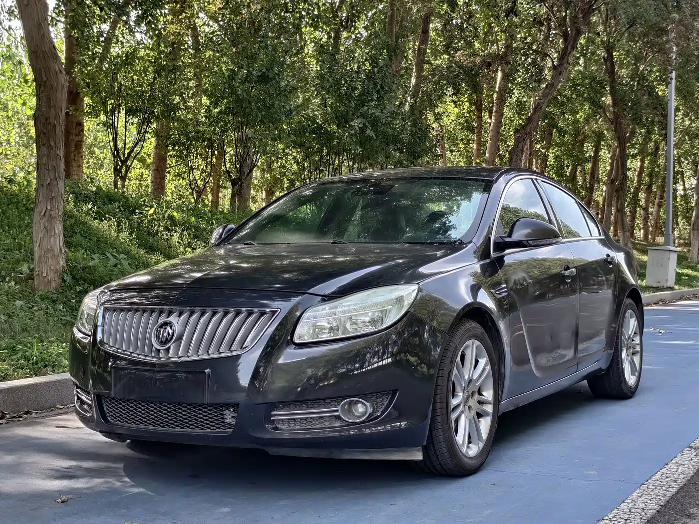 Buick Regal 2009 2009 Model 2.4L Elite Edition